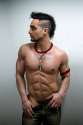 vaas.jpg