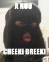 a nu cheeki breeki.jpg