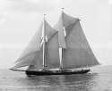 1024px-Rose_Dorothea-Lipton's_Cup-1907_Fishermen's_Race.jpg