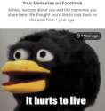 it hurts to live.jpg