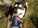 pepsichug.jpg