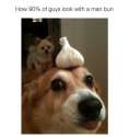 1447348937254.jpg