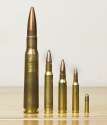 ammo.jpg