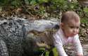 AlligatorsArenotSuitableBabysitters.jpg