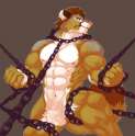 40796602_big_p0.png
