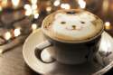 Photo-coffee-happy-bear-Carolina-Ponce.jpg