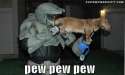 pew pew.gif