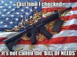 But+they+takin+away+the+guns+from+muh+gays+_b45c91f04c60e33394cb80a0674e5dcf.jpg