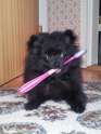 Doge2.jpg