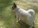 20140813_094345.jpg