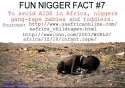 Nigger_cd7f38_792443.jpg