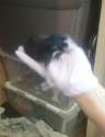 received_1037550676327305.jpg