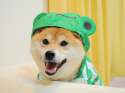 tumblr_miyduqCA751rkn5ozo1_1280.jpg