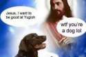 FB_IMG_1454366147378.jpg