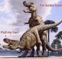 must-see-imagery-trex-pull-hair.jpg