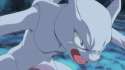 4968357-6183144746-tumbl.gif