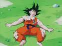 rip goku.png