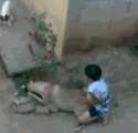 1339629213038.gif