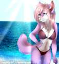 49601eff54412c3d2496f67affafb497.png