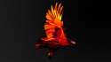 W_2014_361_DARKWING.jpg