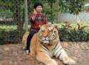 ride_the_tiger.jpg