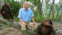 david-attenborough.jpg