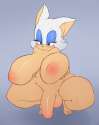 076_1407576160.sonicboom53_doodly_doodles_remastered_rouge_colored_futa.jpg