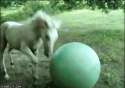 1330711536386.gif
