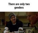 twogenders.jpg