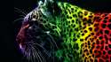 hd-abstract-wallpapers-2.jpg