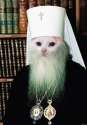 catgod.jpg