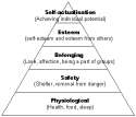 maslow.gif