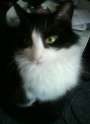 DSC01047.jpg