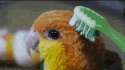 1376011526761.gif