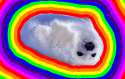 ^75ED113EFB6069B02882EC5A491925099AEB316436EAE88F2B^pimgpsh_fullsize_distr.png