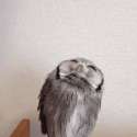 6145_6166.gif
