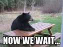 And+now+we+wait+for+the+behind+the+gif+_cf2154281eb5a7504cca63268f1f8d69.jpg