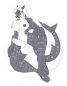 1442544103.ilkarin_ilkarin_shark.jpg