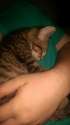 IMAG0092.jpg