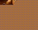 tumblr_nodtynfiwr1uurfnio1_400.gif