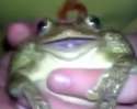 image.jpg