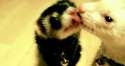 1450829409139.gif