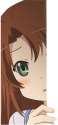 Komari (17).jpg