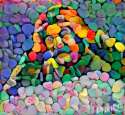 candyheartsstalin.jpg