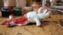 38488 - 3d artist-guodzilla foal_dies sculpture.jpg