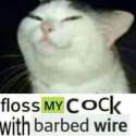 160395884752.jpg
