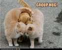 group-hug.jpg