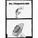 stepped in shit.jpg