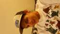 20160530_230943.jpg