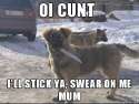 oi cunt.jpg